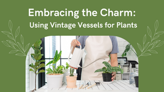 Embracing the Charm: Using Vintage Vessels for Plants
