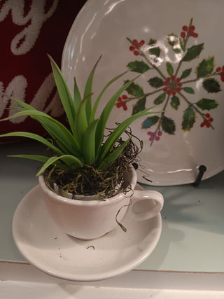 Vint.DemiCup w Faux Plant