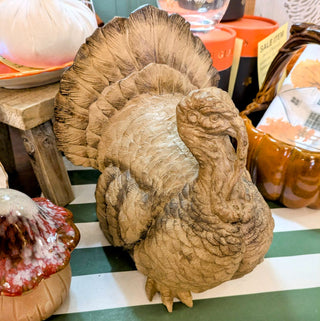 Sitting Turkey