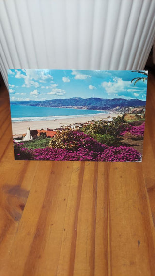 1960s Santa Monica California Bay looking towards Malibu, Plastichrome Colourpicture Postcard