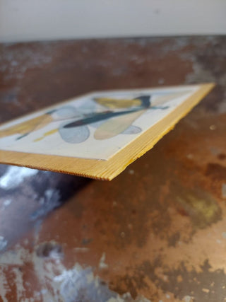 1890s Art Nouveau Plate 9: Damsefly, dragonflies by  E.A. Seguy, Antique Natural History Insect Entomology illustration art print on Douglas fir  - wall hanging