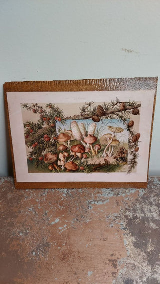1886 “Woodland Mushrooms” - The Plant in Arts and Craft by Martin Gerlach's - Antique Natural History botanist drawing, print on rustic Douglas fir wood - wall hanging