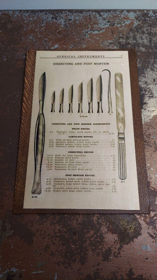 1917 “Dissecting and Post Mortem” Surgical Instruments. Surgical Catalogue of FRED HASLAM & CO. Inc., Antique Medical Equipment Catalog drawing, print on Douglas fir wood - wall hanging
