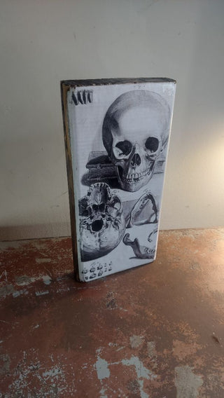 1685 Bidloo Ontleding - Human Skull Drawing - Anatomy book, Anatomia humani corporis. Antique illustration Artisan Wood Block Print (As-Is)