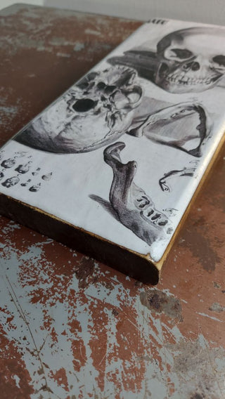 1685 Bidloo Ontleding - Human Skull Drawing - Anatomy book, Anatomia humani corporis. Antique illustration Artisan Wood Block Print (As-Is)