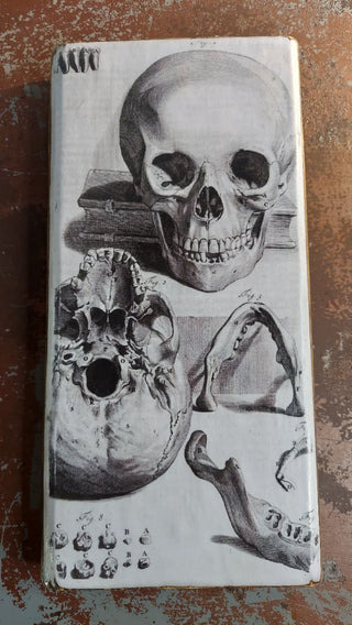 1685 Bidloo Ontleding - Human Skull Drawing - Anatomy book, Anatomia humani corporis. Antique illustration Artisan Wood Block Print (As-Is)