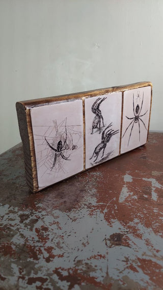 Arachnid Spider Natural History Collection. Antique illustration Artisan Wood Block Print (As-Is)