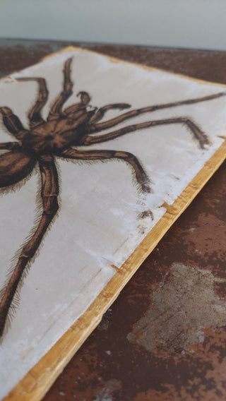 1866 TARANTULA SPIDER. Mygale de Leblond (Goliath birdeater) Antique illustration Artisan Wood Block Print (As-Is)