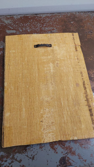 1866 TARANTULA SPIDER. Mygale de Leblond (Goliath birdeater) Antique illustration Artisan Wood Block Print (As-Is)