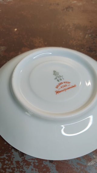 Golden West - Flat Cup & Saucer Set (2pc) by Tirschenreuth hand painted Bavaria