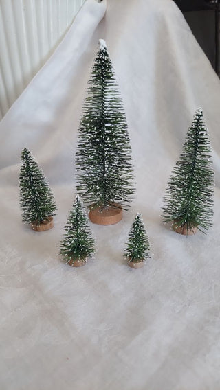 Bag of 5 - Snow tipped Bottle Brush Set