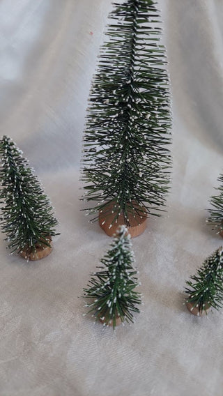 Bag of 5 - Snow tipped Bottle Brush Set
