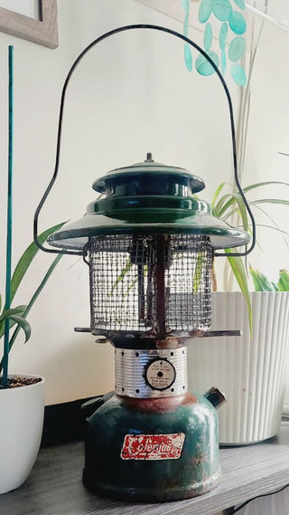 1970s Coleman Lantern Custom Modern Farmhouse Mesh / Screen Seed Bird Feeder