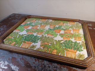 Folk Art Framed 1970s Terracotta Potted Houseplants Drawing Board Co Paper Art, wall art