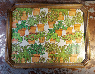Folk Art Framed 1970s Terracotta Potted Houseplants Drawing Board Co Paper Art, wall art