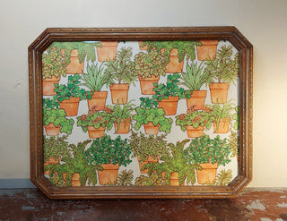 Folk Art Framed 1970s Terracotta Potted Houseplants Drawing Board Co Paper Art, wall art