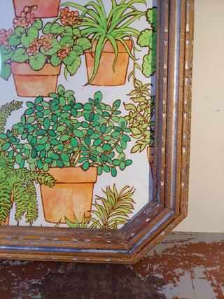 Folk Art Framed 1970s Terracotta Potted Houseplants Drawing Board Co Paper Art, wall art
