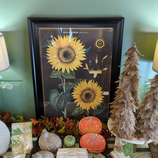 Print of Vintage Poster in Frame ( Firm)