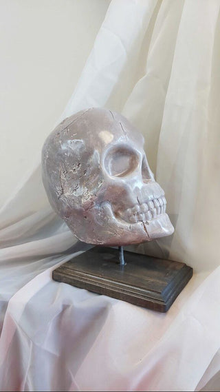 Artist Original - large skull table display, pedestal base, life size plaster sculpture FIRM