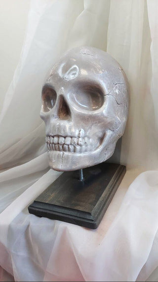 Artist Original - large skull table display, pedestal base, life size plaster sculpture FIRM