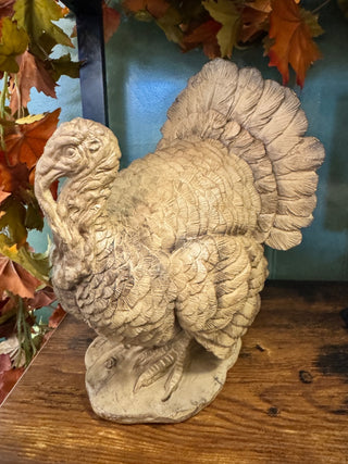 Standing Turkey