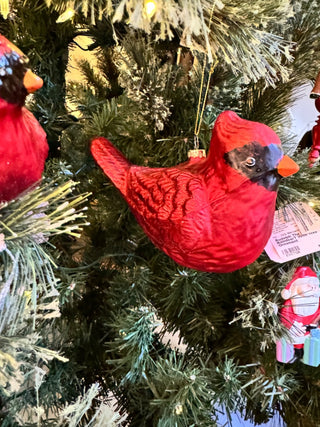 Assorted Red Glass Cardinal Ornaments with Red Glitter