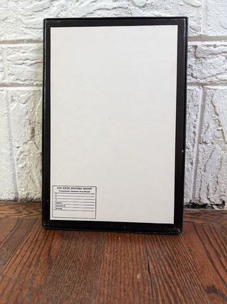 Small Seashell Display Box