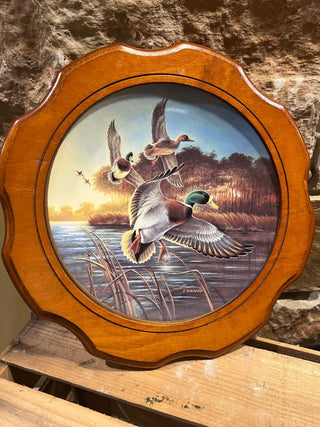 "Mallards at Sunrise" Plate No, 3710B by Lynn Kaatz - Framed with Hanger