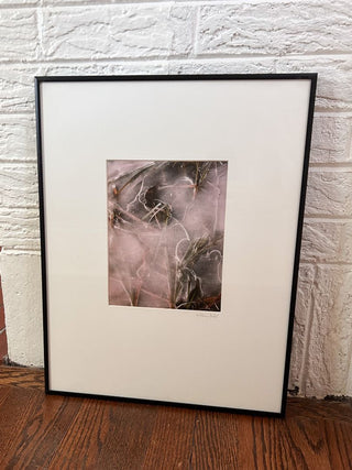 Signed William Neill Nature Photograph - Portrait