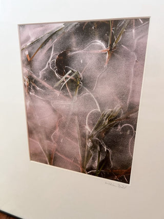 Signed William Neill Nature Photograph - Portrait