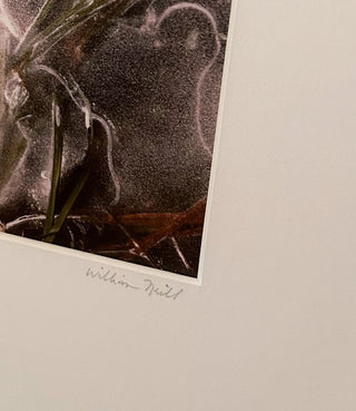 Signed William Neill Nature Photograph - Portrait