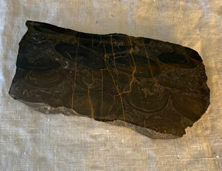 Vintage stone with fossils 5x2.5”