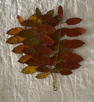 Iron fall leaves 3 stems attached