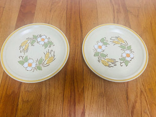 Hearthside Garden Festival Stoneware Plate (set of 2)