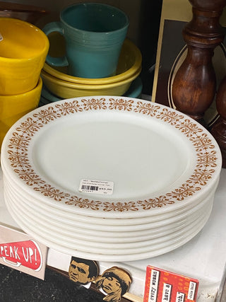 Pyrex Dinner Plate
