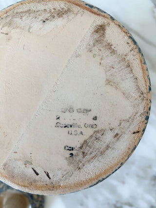 7"Wx9"H Spongewear Canister