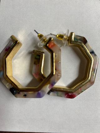 Multi Color Lucite Hoop Earrings