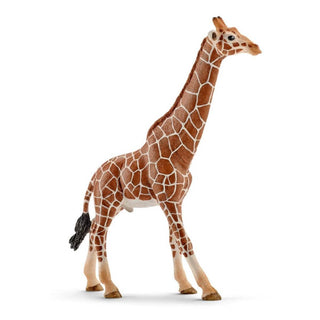Male Giraffe Figurine, Safari Animal Toy | Schleich®