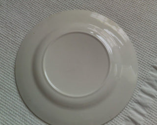 Chicago Souvenir plate, Sears Tower,John Handcock,Marina City, State Street