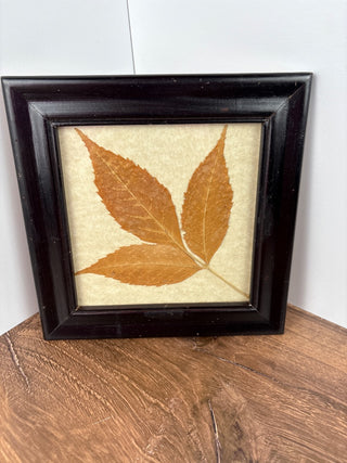 Leaf picture