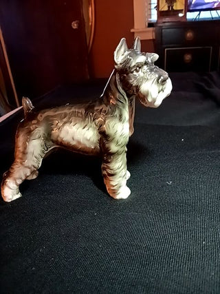 Beautiful Scotty 6x6"