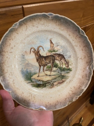 Dresden ironstone transferware ram plate