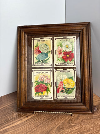 Framed Seed Packets