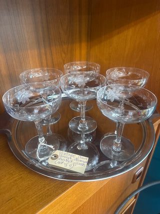 Vintage,flower design champagne/sherbet glasses ( set of 6)
