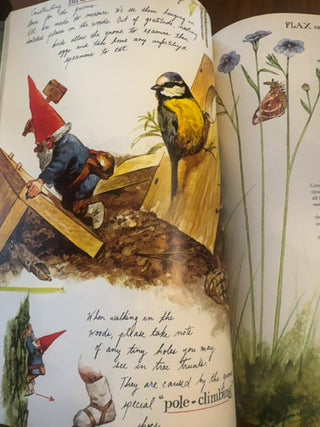 Vintage, bestseller book ,Gnomes,signed by autor /1977