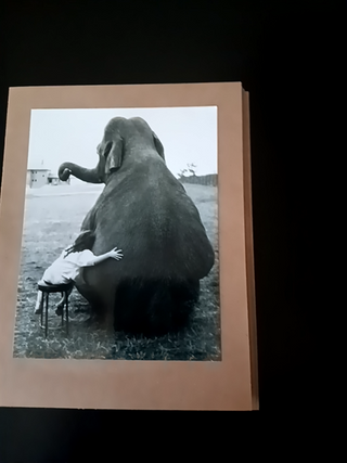 Little girl Elephant Hug
