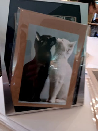 Cat Kiss Blank Card
