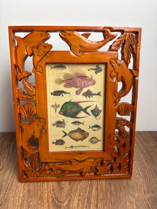 Porpoise Frame w/fish picture