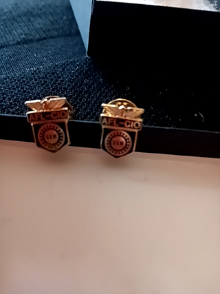 AFL-CIO Pin