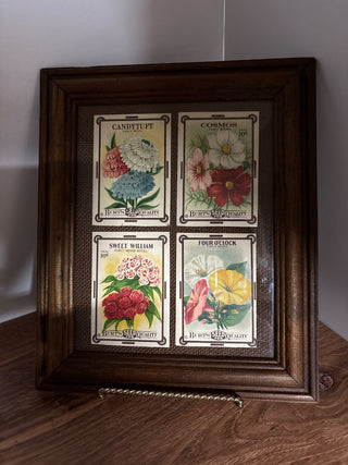 Framed Seed Packets